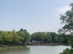 -自然谷恐龙园