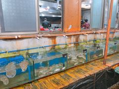 水产区-蓝湾碧波·老字号·疍家非遗海上餐厅