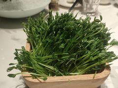 豆苗-领鲜天下·焗海鲜·花胶鸡(天目里店)