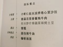 -新加坡航空公司(ION)