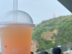 番石榴蜜桃茶-悬崖咖啡厅