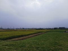 -中国天府农业博览园