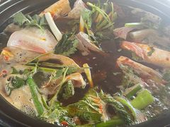 -老杨砂锅鱼庄