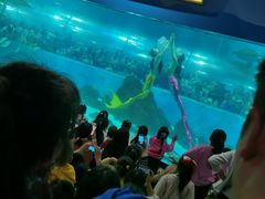 -苏州海洋馆