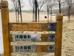 -东郊湿地公园