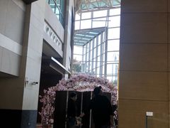 -上海外滩茂悦大酒店