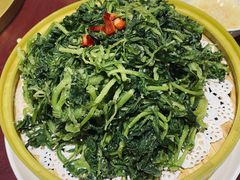 -新东坡酒楼(报社街店)