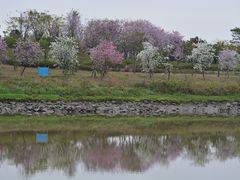 -海珠湖公园