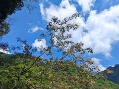 -花岩国家森林公园