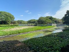 -蠡湖大桥公园