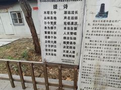 -木塔寺遗址生态公园