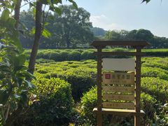 -中国茶叶博物馆(双峰馆区)