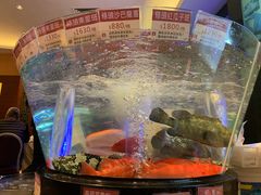 -陶陶居海鲜酒家(新马路店)