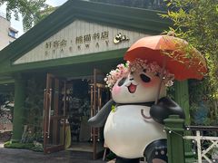-轩客会(熊猫书店)