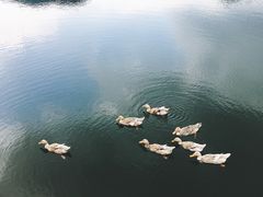 -帐篷客·溪龙茶谷度假酒店