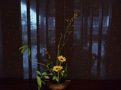 -西安华清御汤酒店