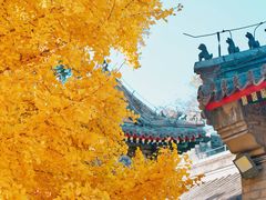 -承恩寺