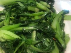 -杨氏青龙虾·羊蝎子(金盛路总店)