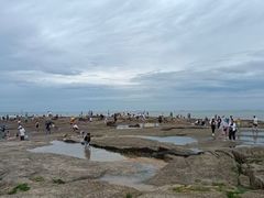 -渡海小渔村.老辈日照菜