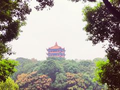 -富乐山