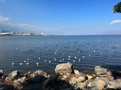 -大理洱海