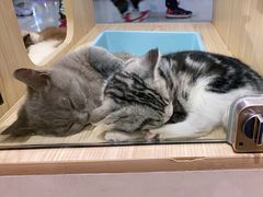 -KKV(深圳宏发大仟里店)