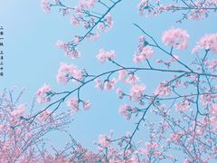 -堤角公园