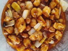 -孙大厨鸽子馆(丰收路店)