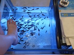 -汤连得温泉馆(宝山店)