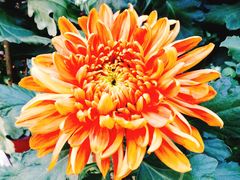 -上海市龙华烈士陵园