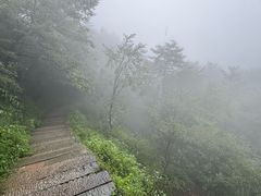 -九华山风景区