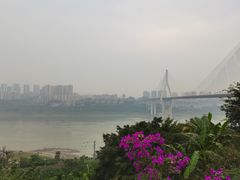 -大渡口区义渡公园