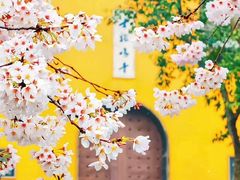 -鸡鸣寺