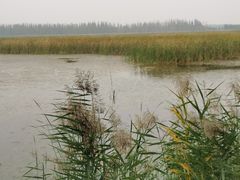 -野鸭湖国家湿地公园