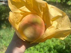 -田园东方蜜桃村的田野营地