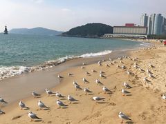 -海云台海滩