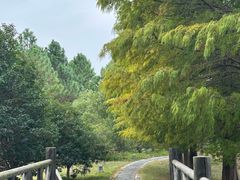 -苏州太湖国家湿地公园