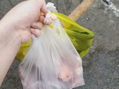 -崂山菜市场(上港小区店)