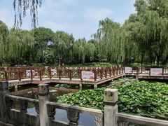 -丰台科技园生态主题公园