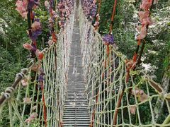 -西双版纳原始森林公园