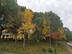 -南山民肴·乡土徽菜(豪辰俪景店)