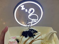 -狐狸和向日葵(北京路店)