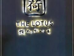 -几荷·恰似故人来(秀水广场店)