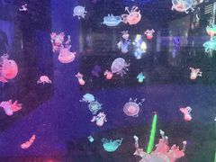 -梦幻海洋王国(吾悦广场张家港店)