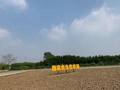 -迪茵湖田家舍生态农场