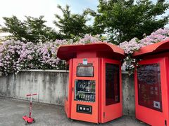 -丹东路渡口(轮渡站)