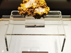 -安徽省地质博物馆