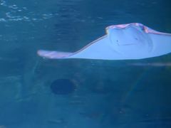 -沈阳海洋探索中心