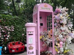 -合肥滨湖国家森林公园