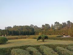 -南沙蒲洲花园
